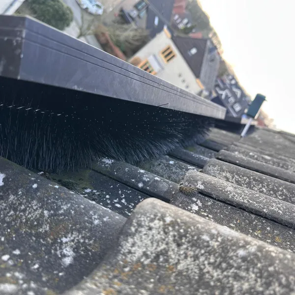 Borstelstrips